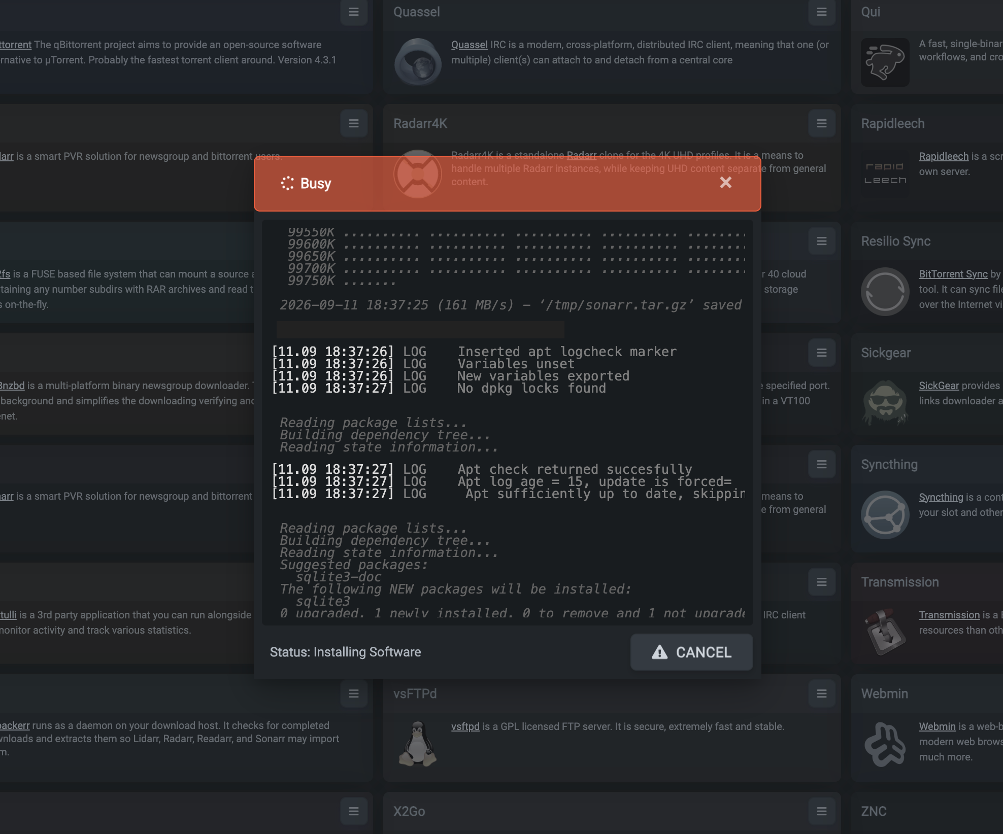 The installer exposes its progress through a live terminal log.